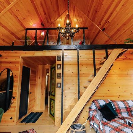 Wooden Cottage "Green House" In Бакуриани Екстериор снимка