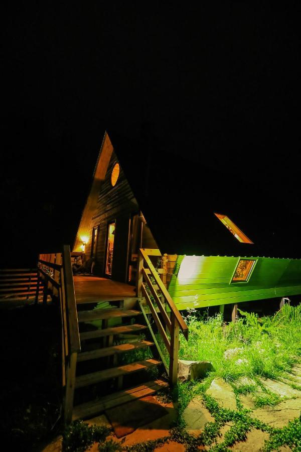 Wooden Cottage "Green House" In Бакуриани Екстериор снимка